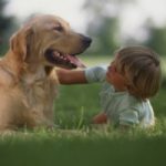 Tips to Cope with the Loss of a Pet