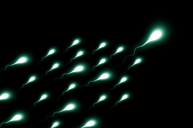 Scientists Grow Sperm In Lab Using Skin Cells