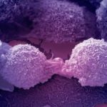 Understanding Cancer Biology