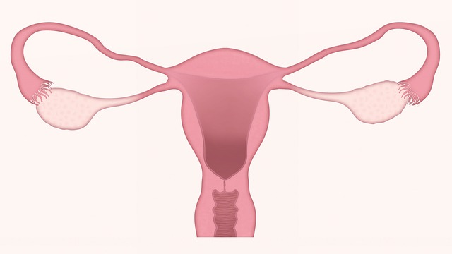 Cervical Cancer, causes, and how to prevent it.